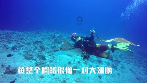 逃出昏暗的地下室2